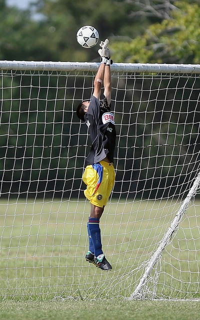 可以帮助我 可以帮助我