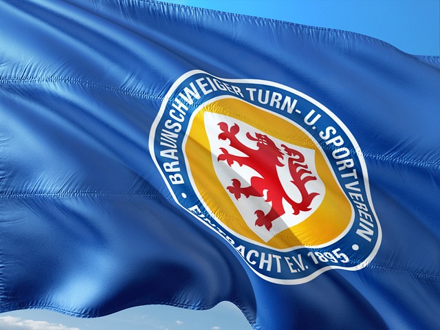 通常兼具两 通常兼具两