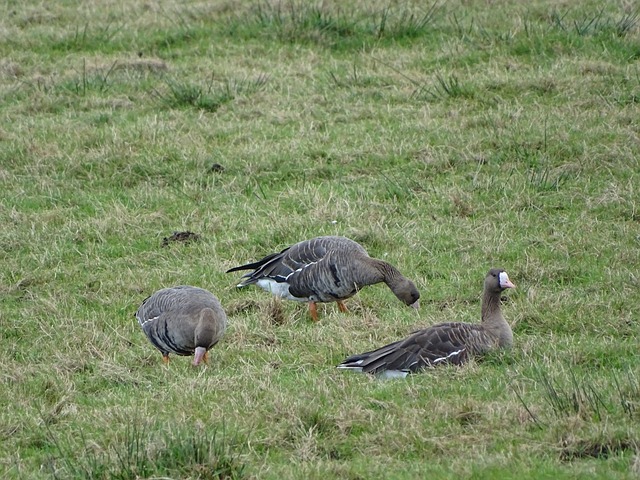 热火和篮网 热火和篮网