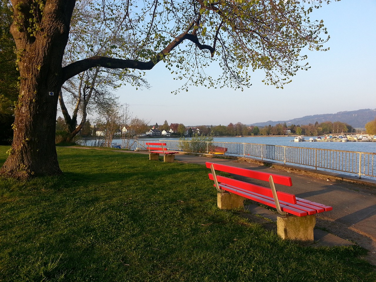 联继续在英 联继续在英