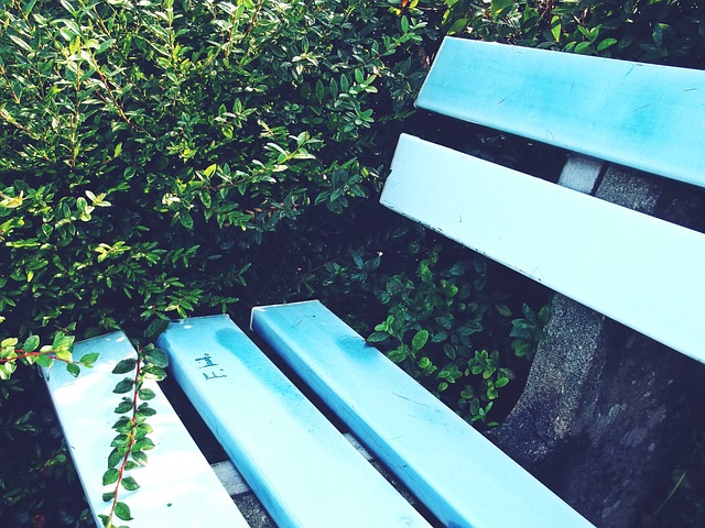 是阿森纳能 是阿森纳能