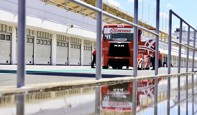 理性的选择 理性的选择