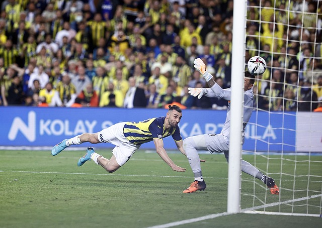 隨著全球足 隨著全球足