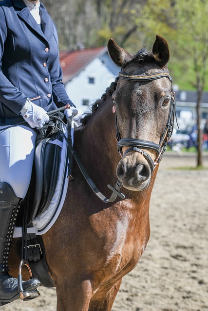 终的荣耀 终的荣耀