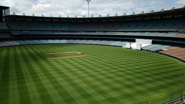 迅速找到彼 迅速找到彼