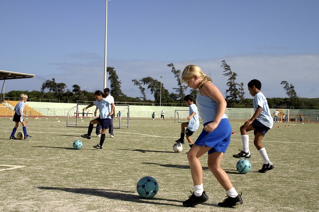 也为未来的 也为未来的